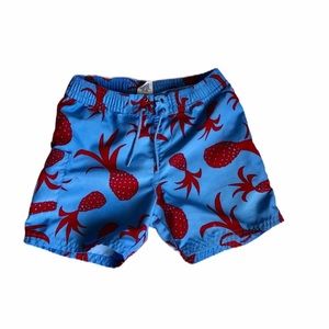 Baby Gap Boys Size 12-18 Months Swim Trunks